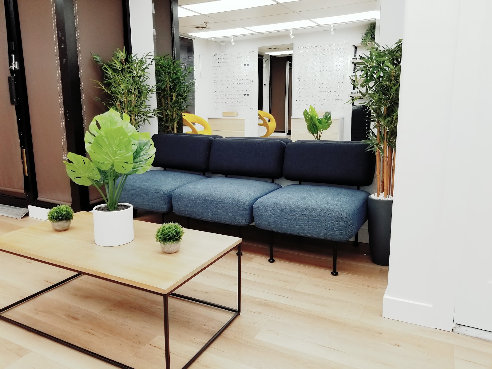 Waiting area inside Classic Vision Optical, Brooklyn