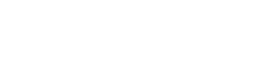 Shamir logo